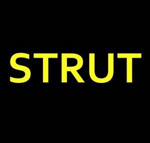 NSTRUT99