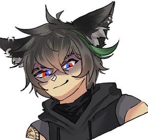 Rizer Fenrir