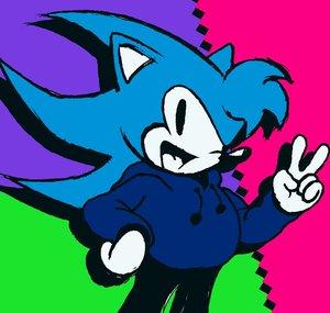 Sega The Hedgehog™