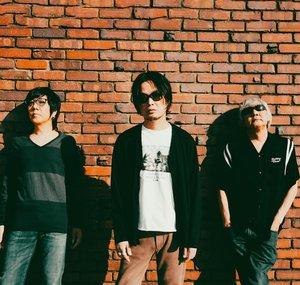 the pillows