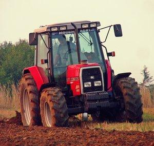 Tomek1645