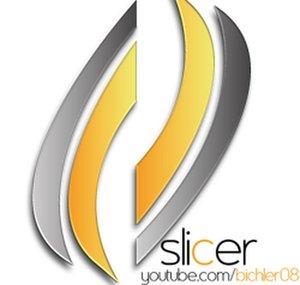 Bichler08