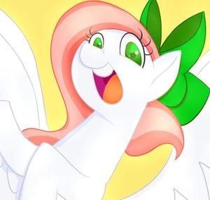 Majestic Melon