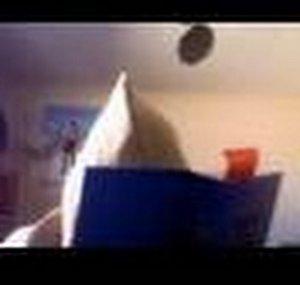 TheBagWithADD2