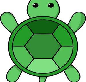 Turtle Games