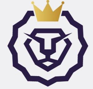 VSITV Network