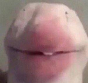 Yahirygr