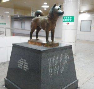 baseわかやま
