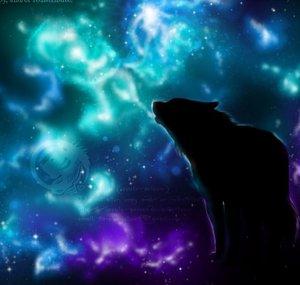 MoonDimTheSheWolf