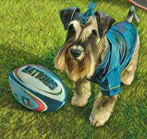 The ThreeBOD Rugby Group