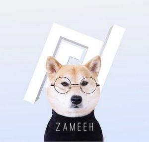 Zameeh