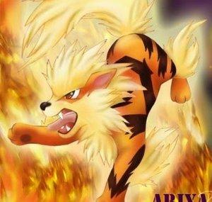 Ariya34920
