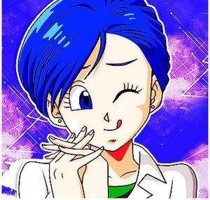 Bulma Brief
