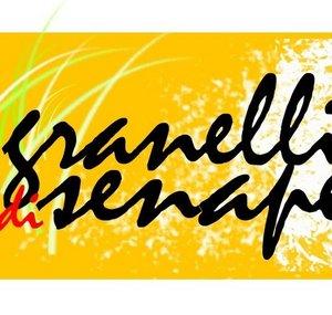 I granelli di senape