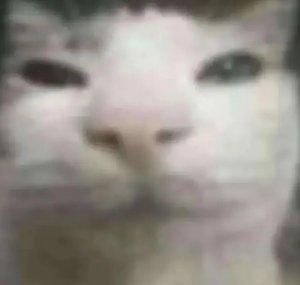 ItsPlunged