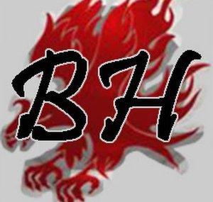 Blood Hawk