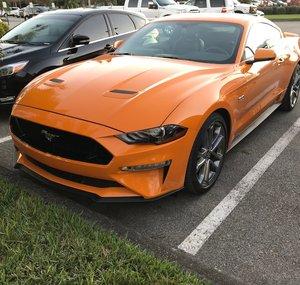 Coyote carguy