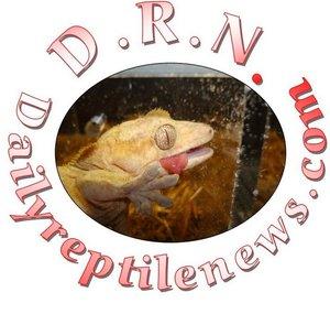 Daily Reptile News