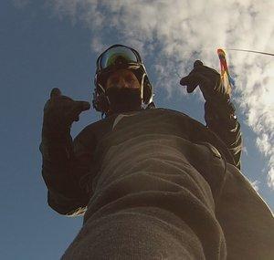Fly-guy Alberta