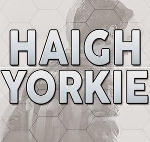 haighyorkie