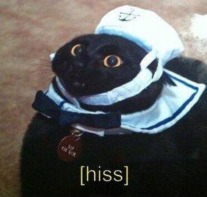 immadcusbad