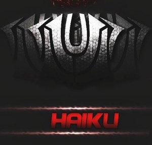 ImTheHaiku