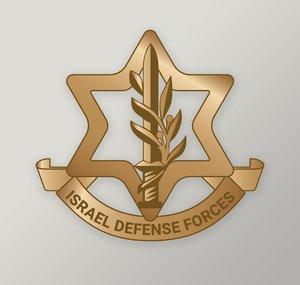Israel Defense Forces