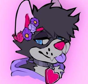 Kona Fuzzbutt