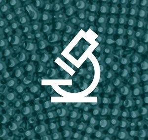 Science & recherche au Muséum