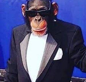 SpaceMonkey98