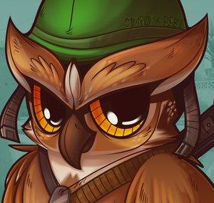 TheWarOwl