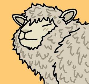 zarkflappysheep